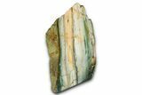 Freestanding Gary Green Jasper (Larsonite) Bog Wood - Oregon #377820-2